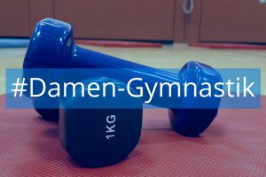 ksj flensburg damen gymnastik sparte